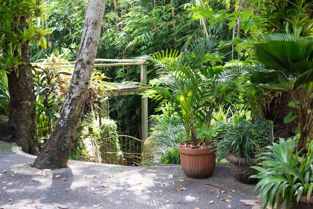 Serenity House Otel Ubud Dış mekan fotoğraf