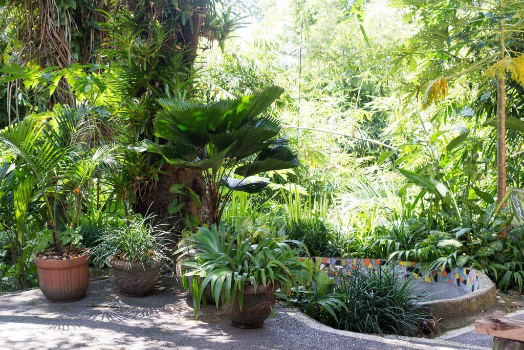 Serenity House Otel Ubud Dış mekan fotoğraf