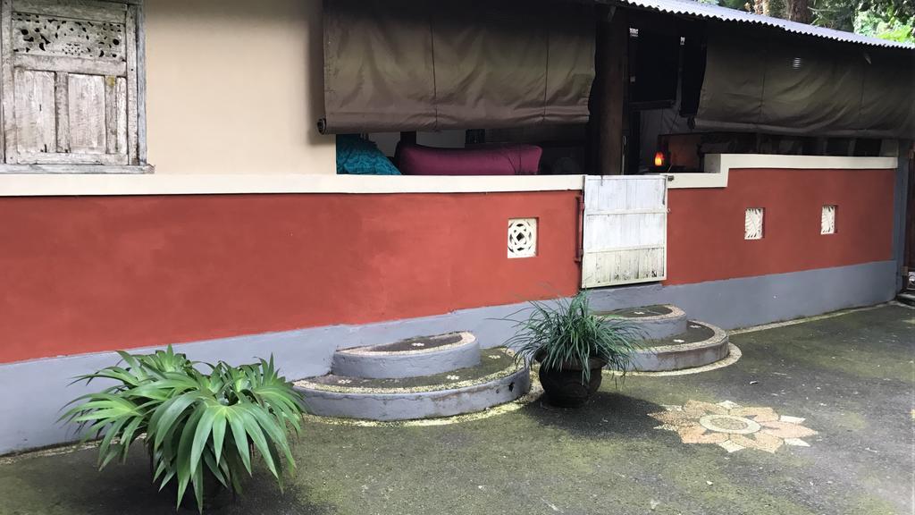 Serenity House Otel Ubud Dış mekan fotoğraf